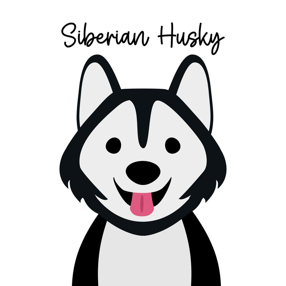 Husky Sibérien