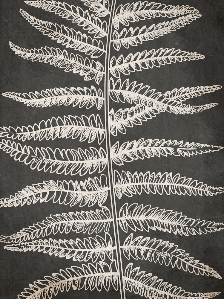 Fern Leaf Botanical 2