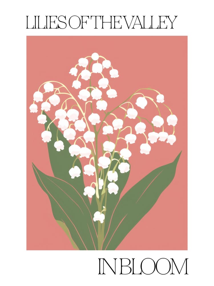 Lilies Of The Valley In Bloom Flowers Bold Illustration 4