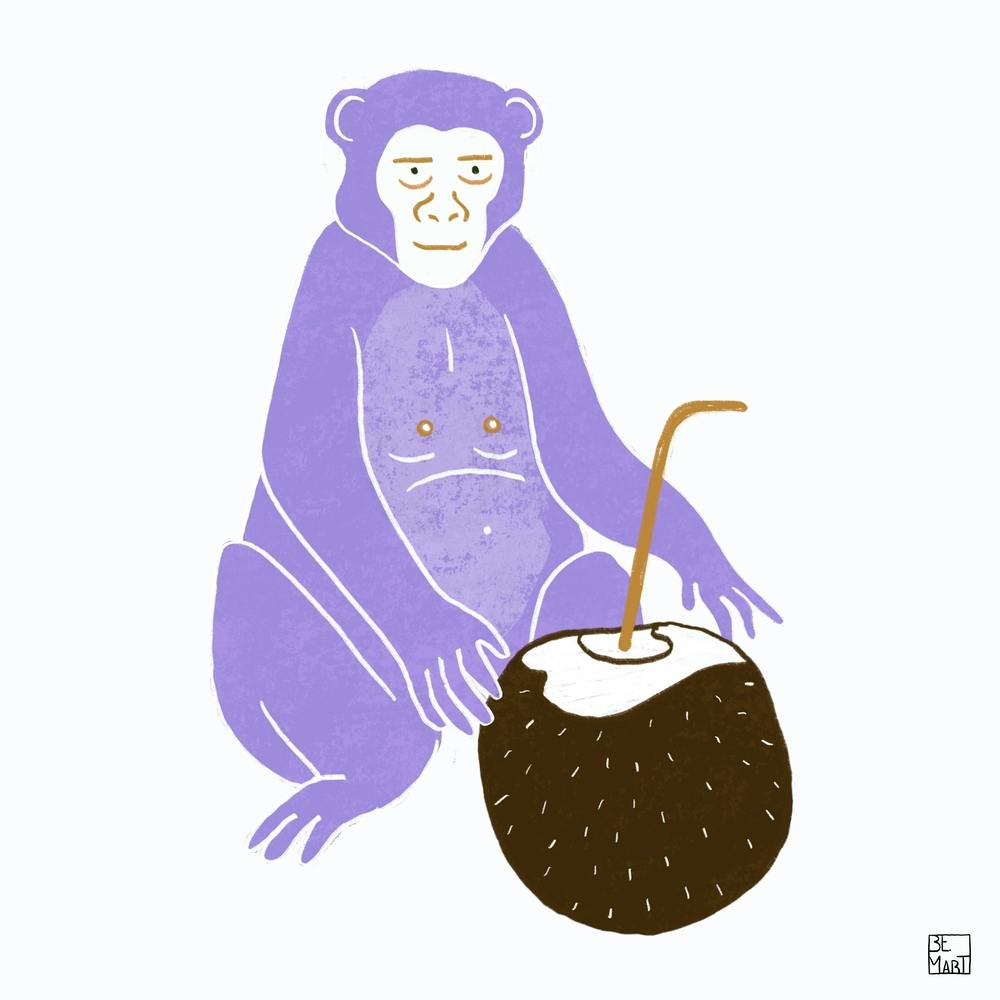 Purple Monkey With Coconut Square