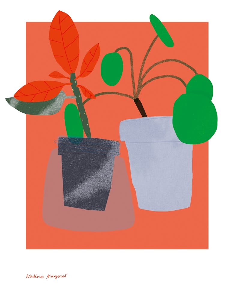 Impression de Plantes d'Intérieur