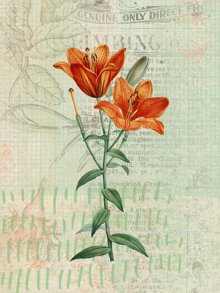 Floral Garden 8