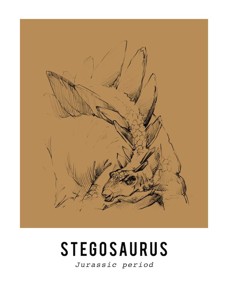 Stegosaurus Drawing, Dinosaur Boys Room Decor