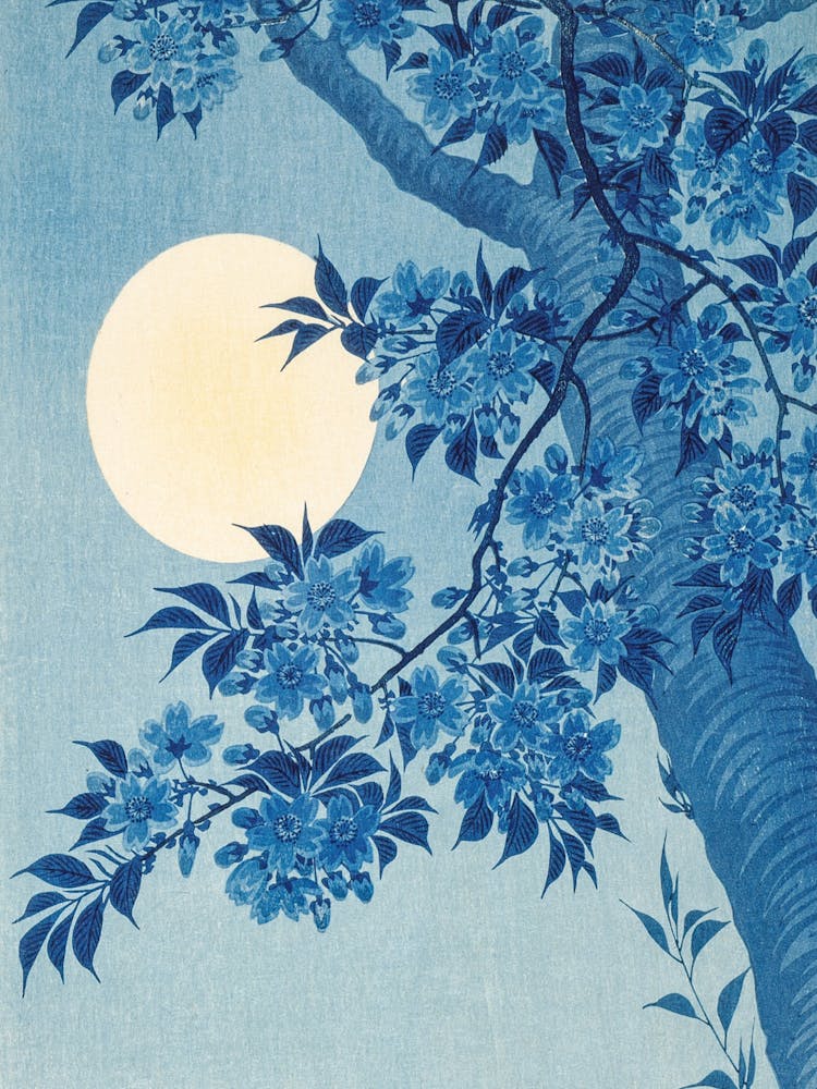 Moon And Blossoms