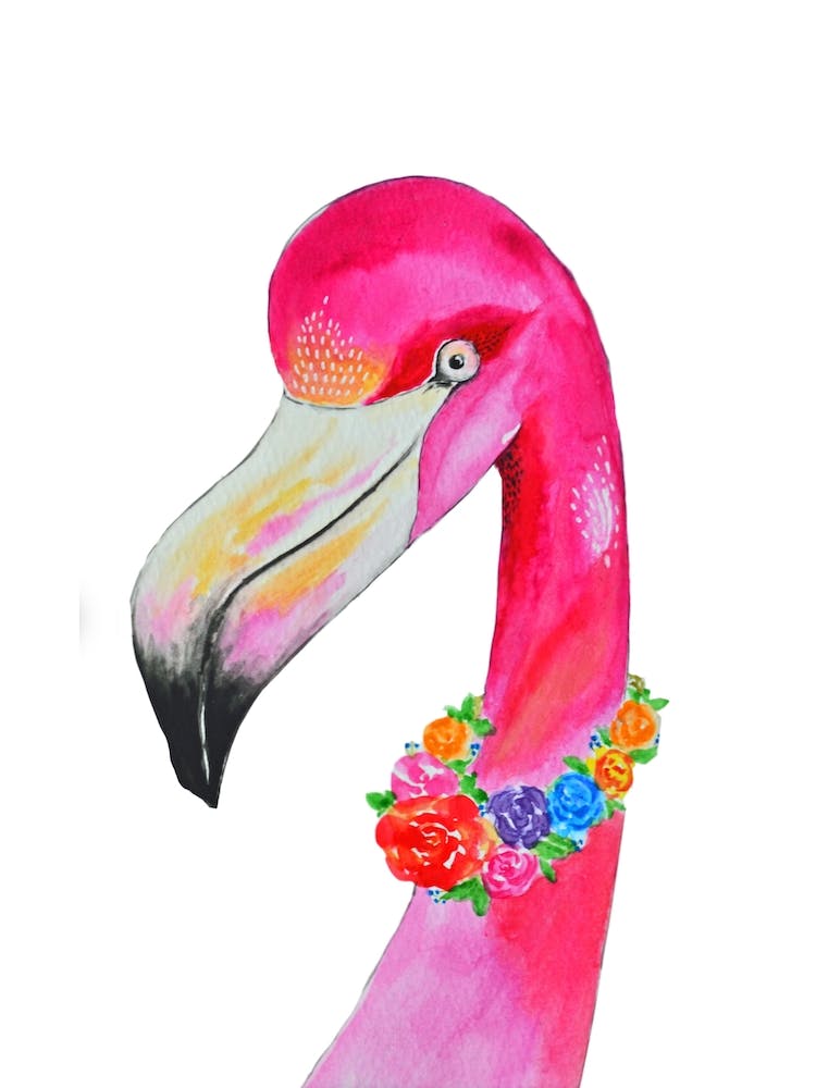 Flamingo Colors