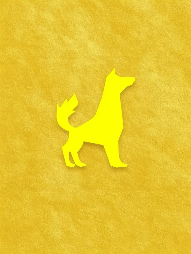Yellow Dog On Yellow Background