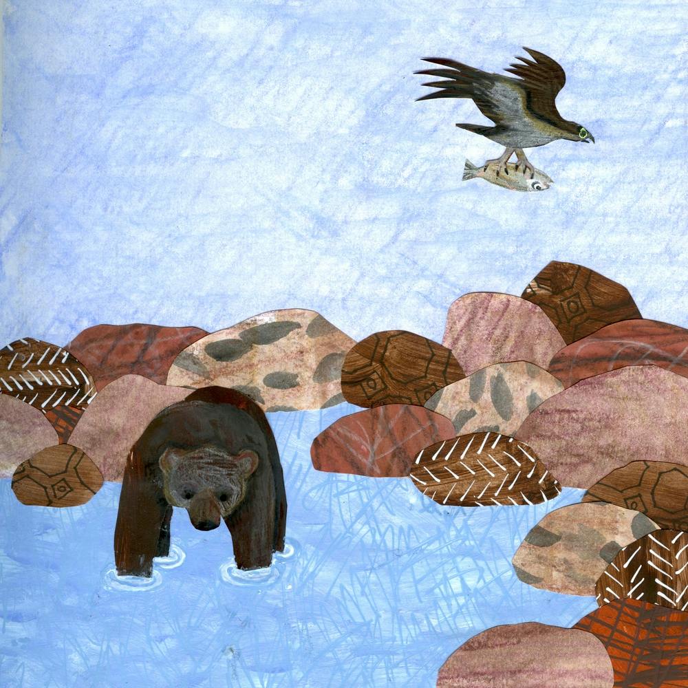 The Bear And The Eagle Square