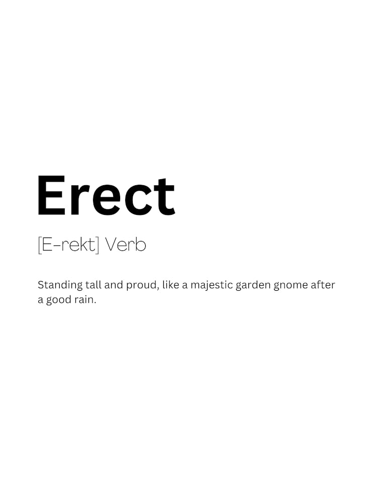 Erect Definition Meaning 1