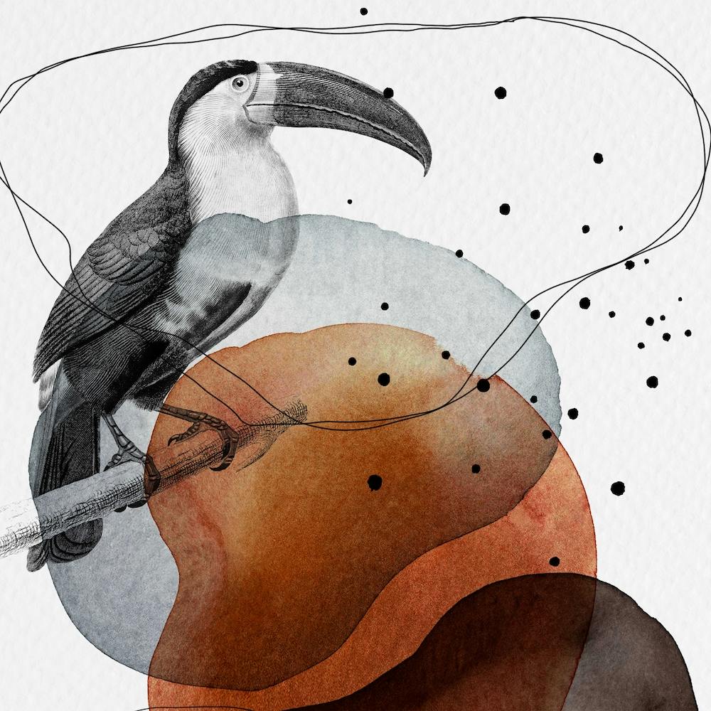 Feathered Friends Toucan Black & Brown Square
