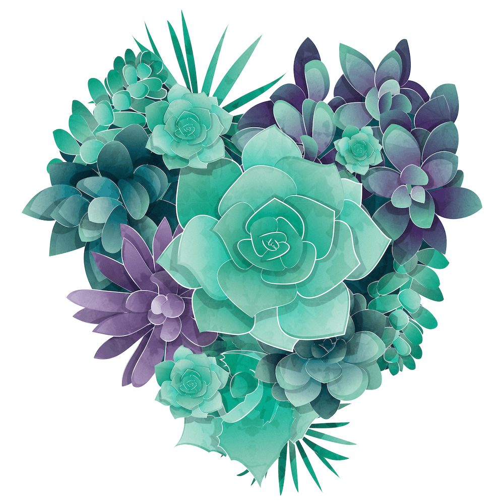 Succulent heart // green succulents love