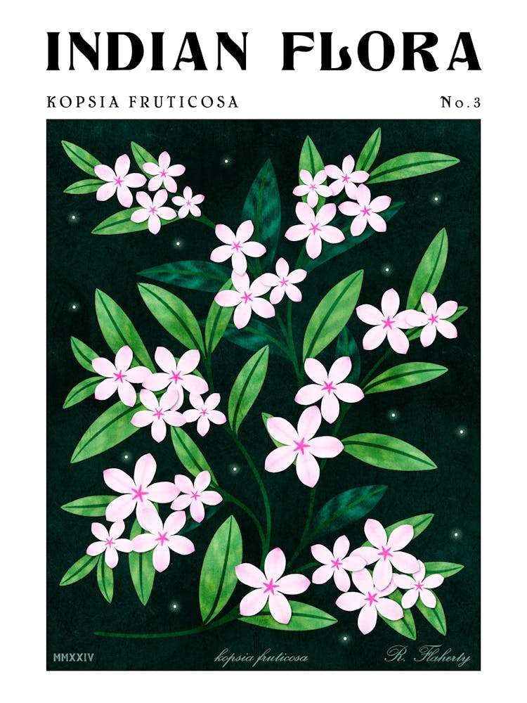 Indische Blumen Kopsia Fruticosa