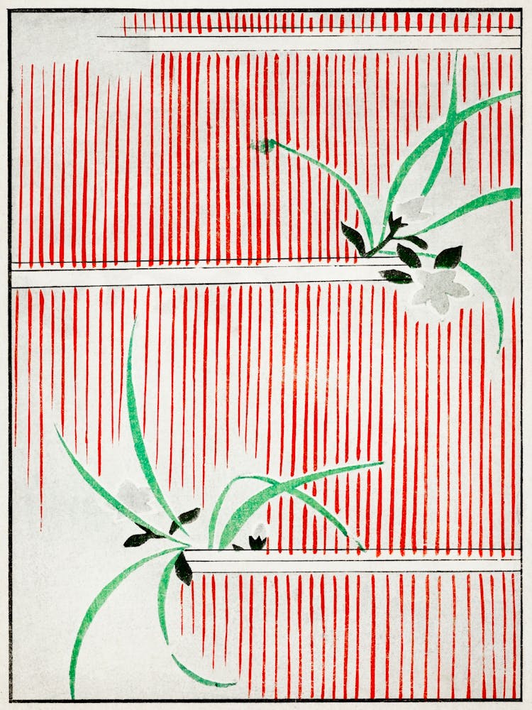 Morning Glory Illustration, Shin Bijutsukai