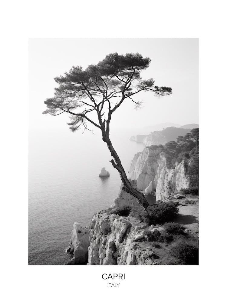 Poster Of Capri, Italy, Black And White Photo 2