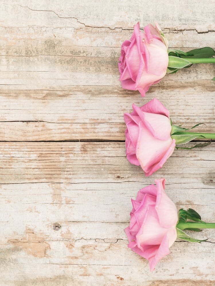 Pink Roses On A Wooden Table