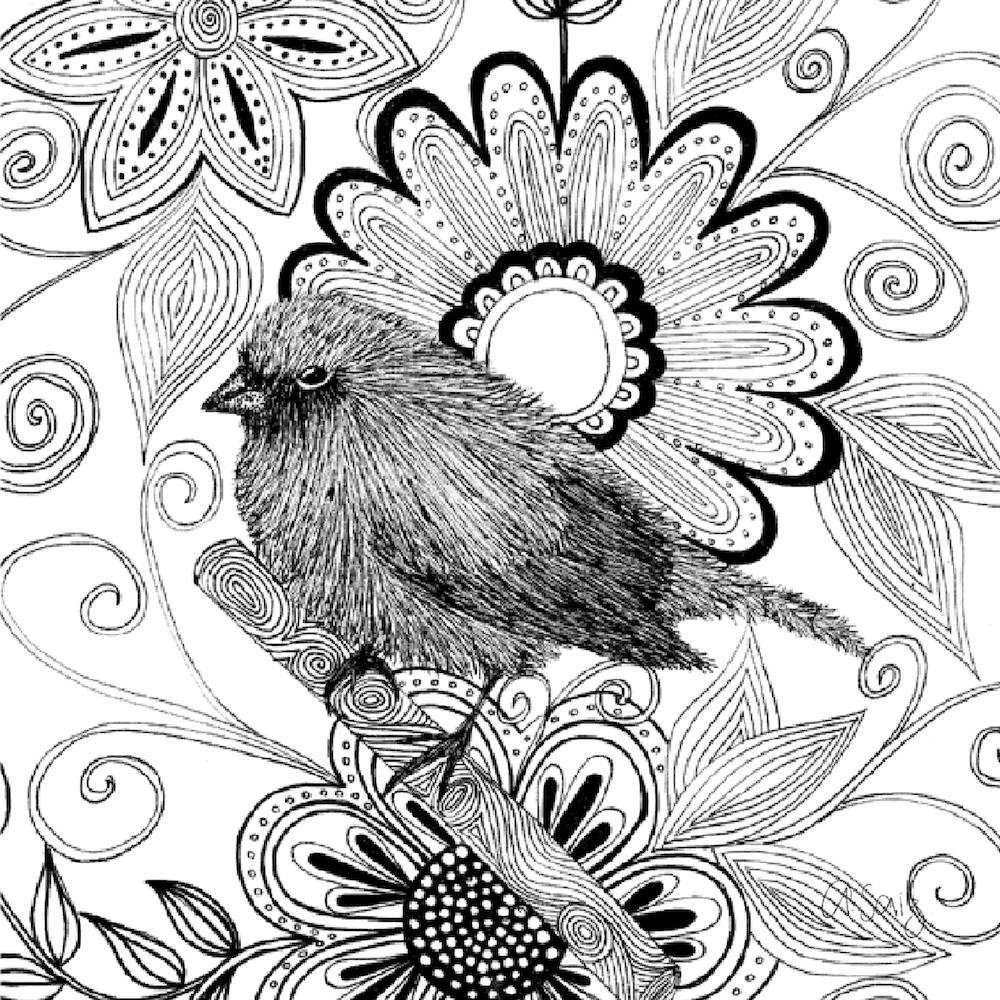 Schwarz-weißer Vogel. 1