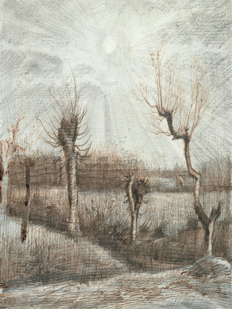 'Sunrise Over A Field'