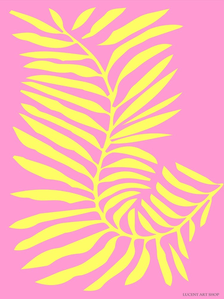 Palm Leaf