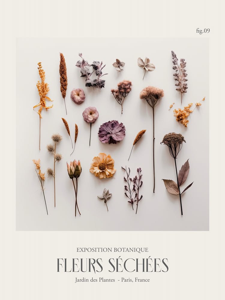 Fleurs Sechees, Dried Flowers Exhibition Poster 09