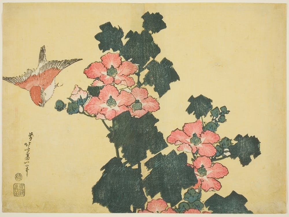Hibiscus And Sparrow, Katsushika Hokusai 1