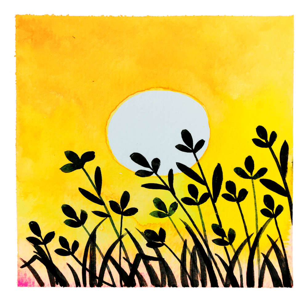 Watercolor Sunset Light And Grass Shadow