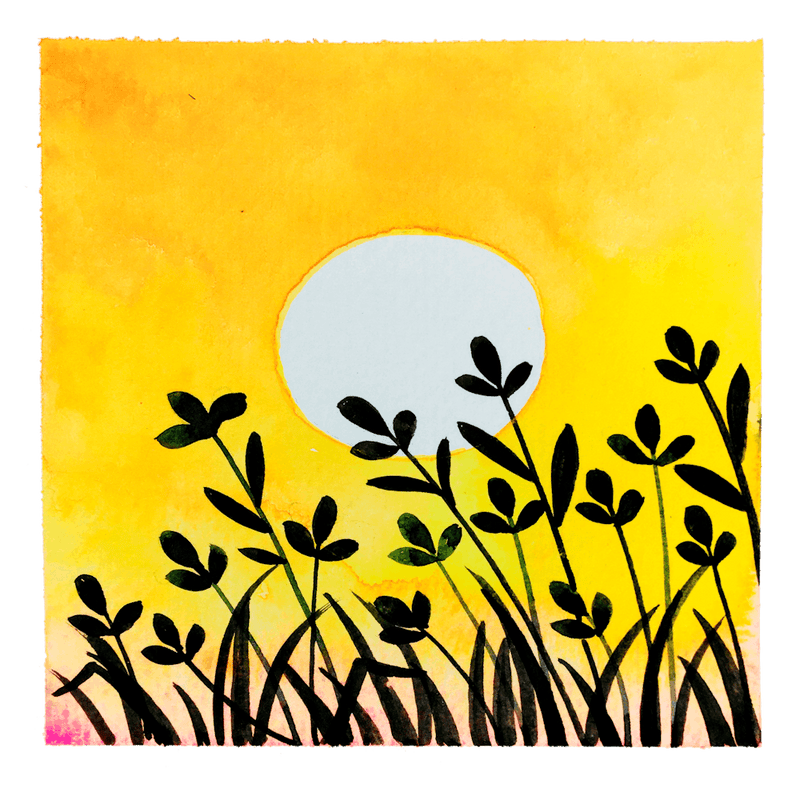 Watercolor Sunset Light And Grass Shadow