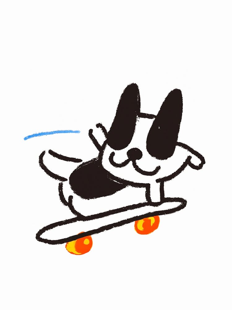 Funny Dog On A Skateboard
