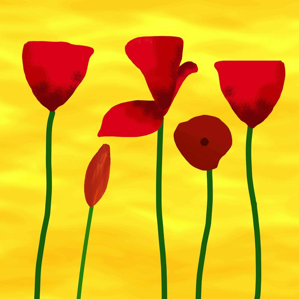 Rote Mohnblumen 1