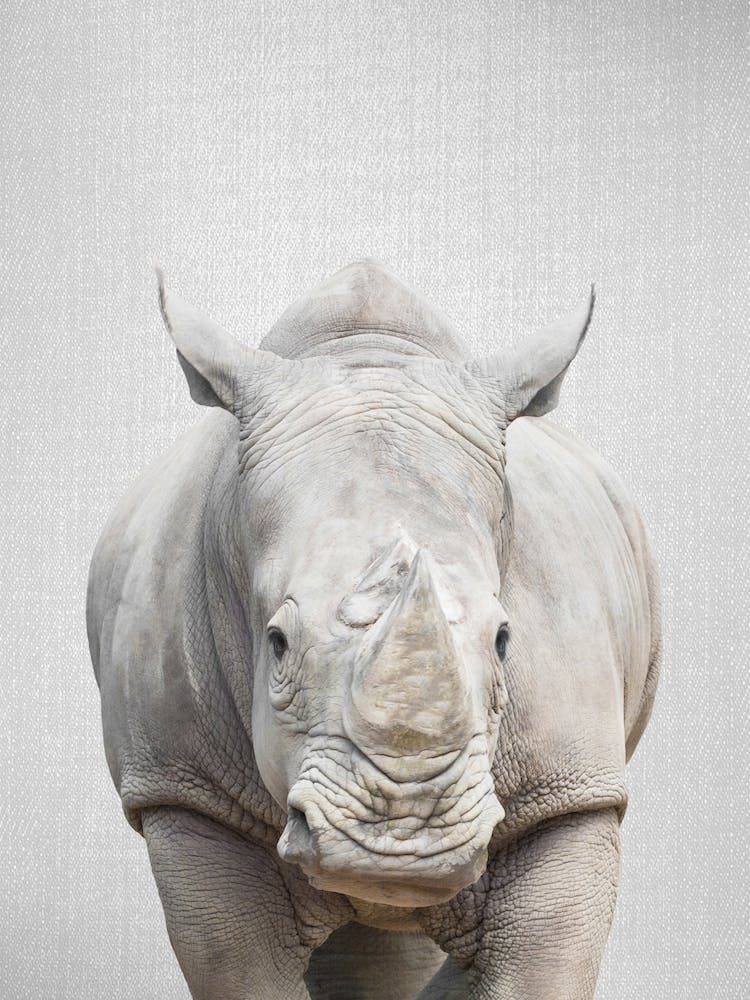 Nashorn