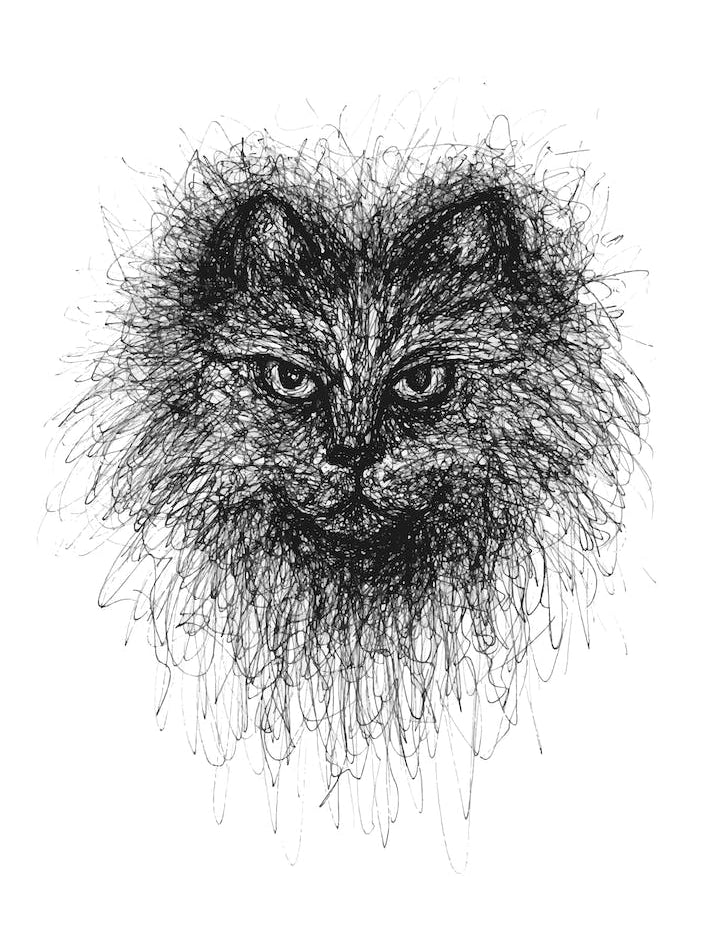 Scribble Cat