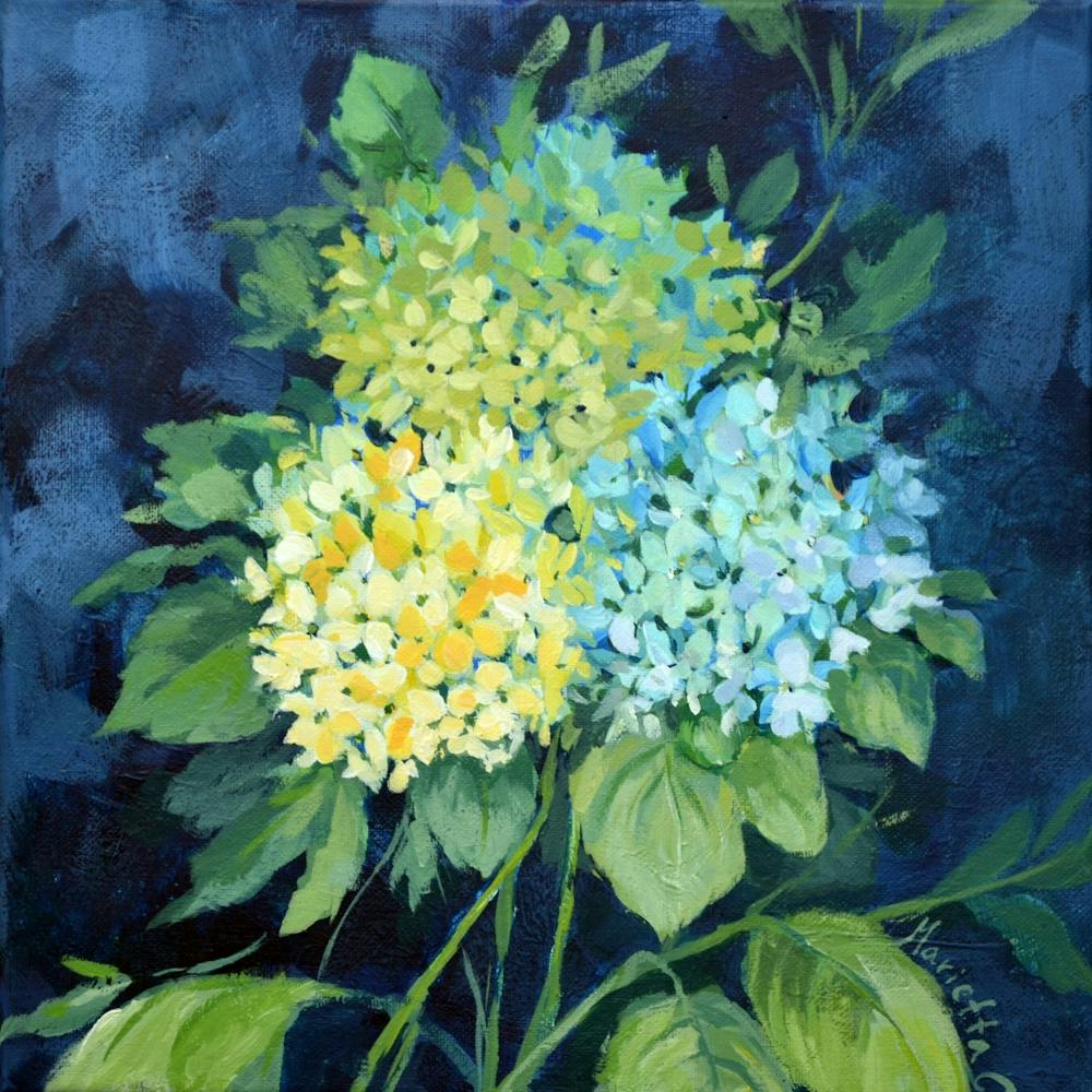 Three Hyidrangeas