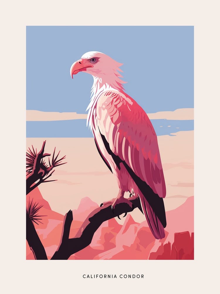 Minimalist California Condor 1 Bird Poster