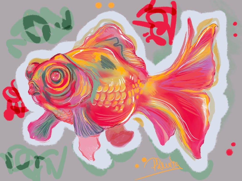 Goldfish