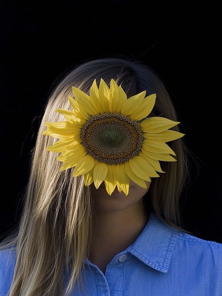 Sunflower Blondie
