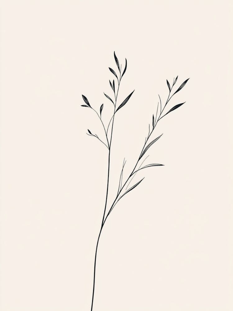 Simple Drawing Of A Plant