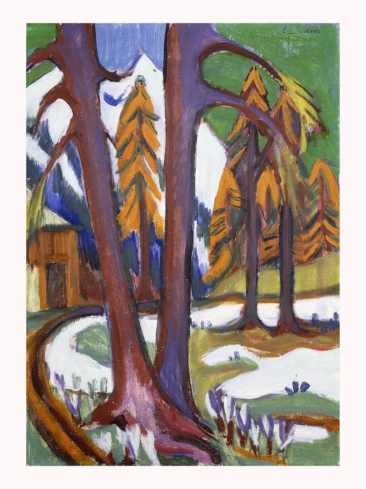 Mountain Early Spring With Larchen