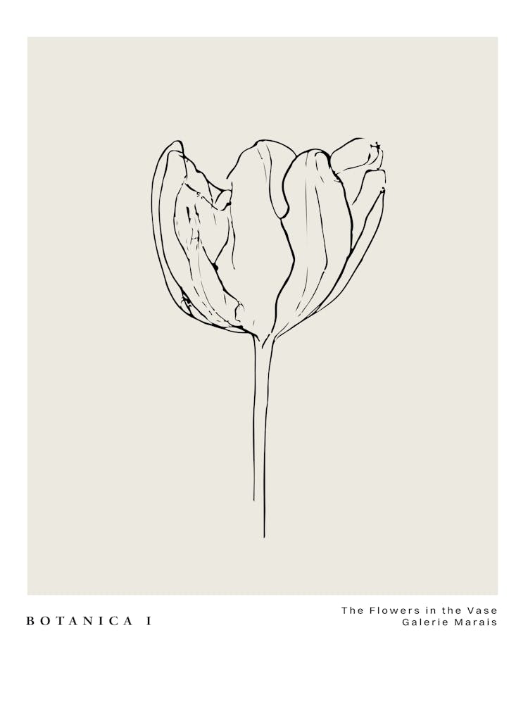Botanica line no 15