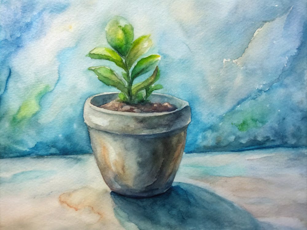 Potted Plant 5