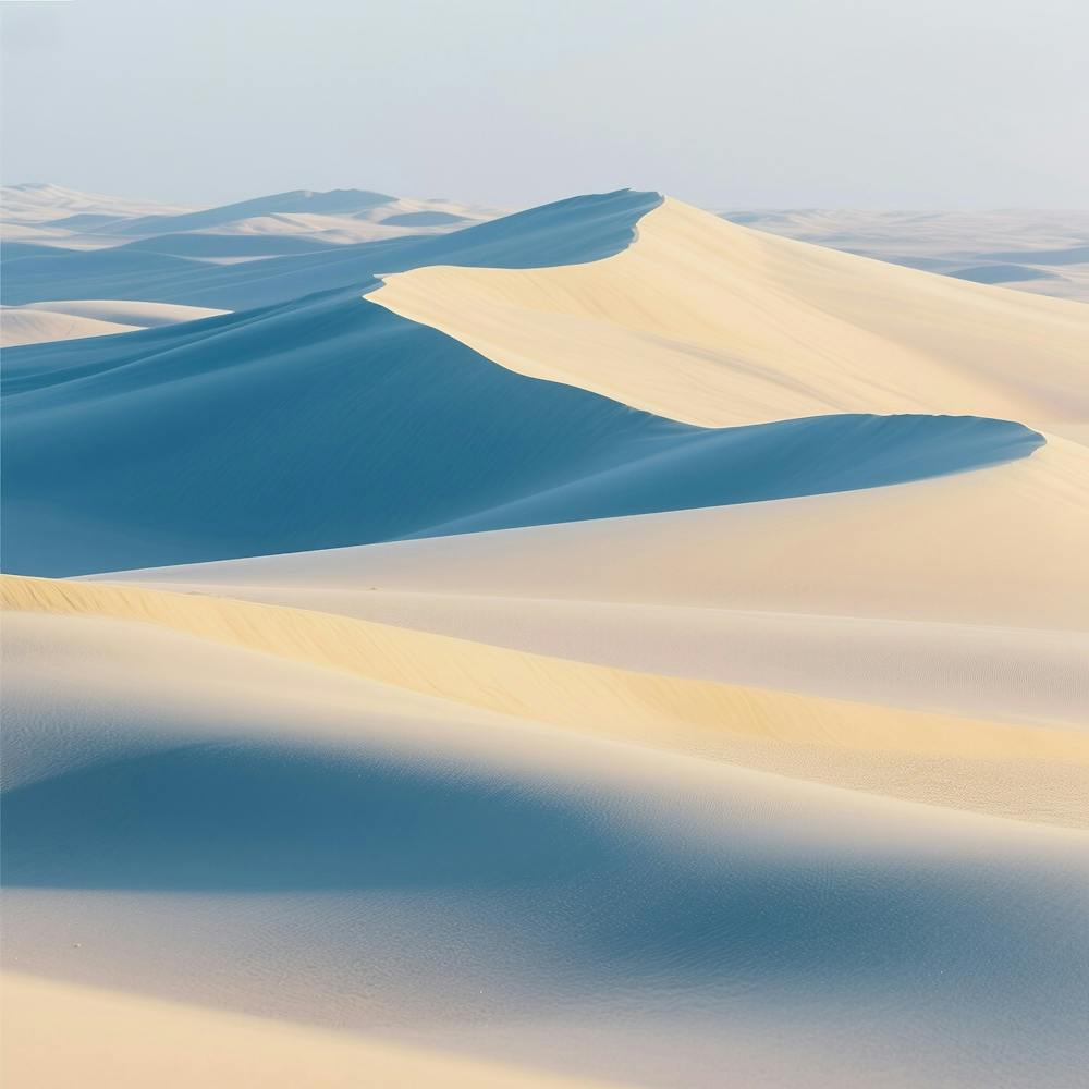 Dunes De Sable Dans Le Désert