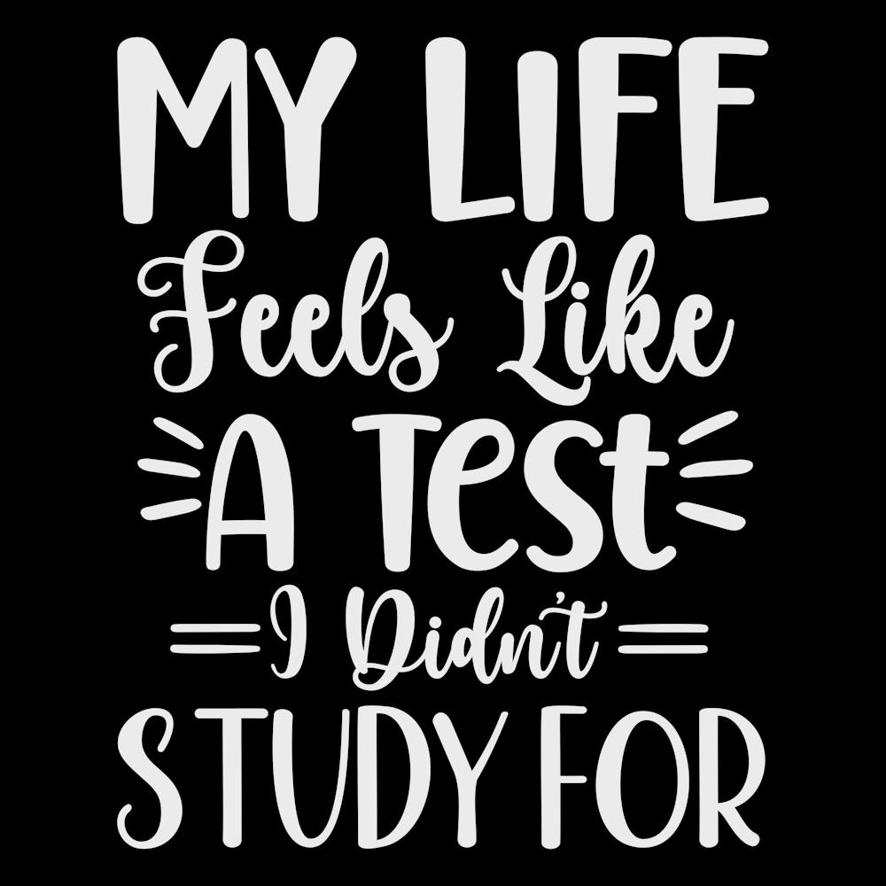 my Life Feels Like A Test I Didn T Study For 2