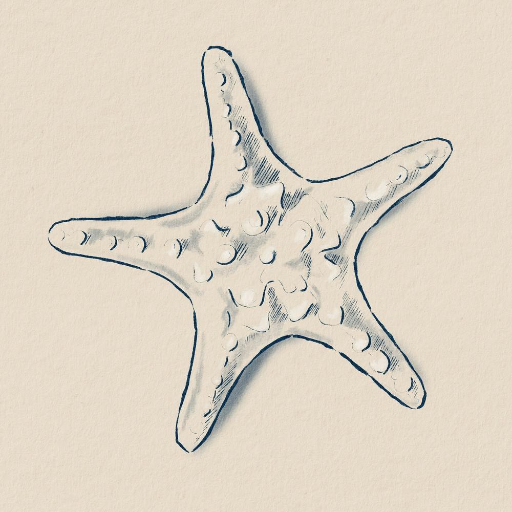 Minimalistic Starfish