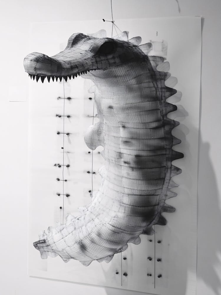 Alligator 1