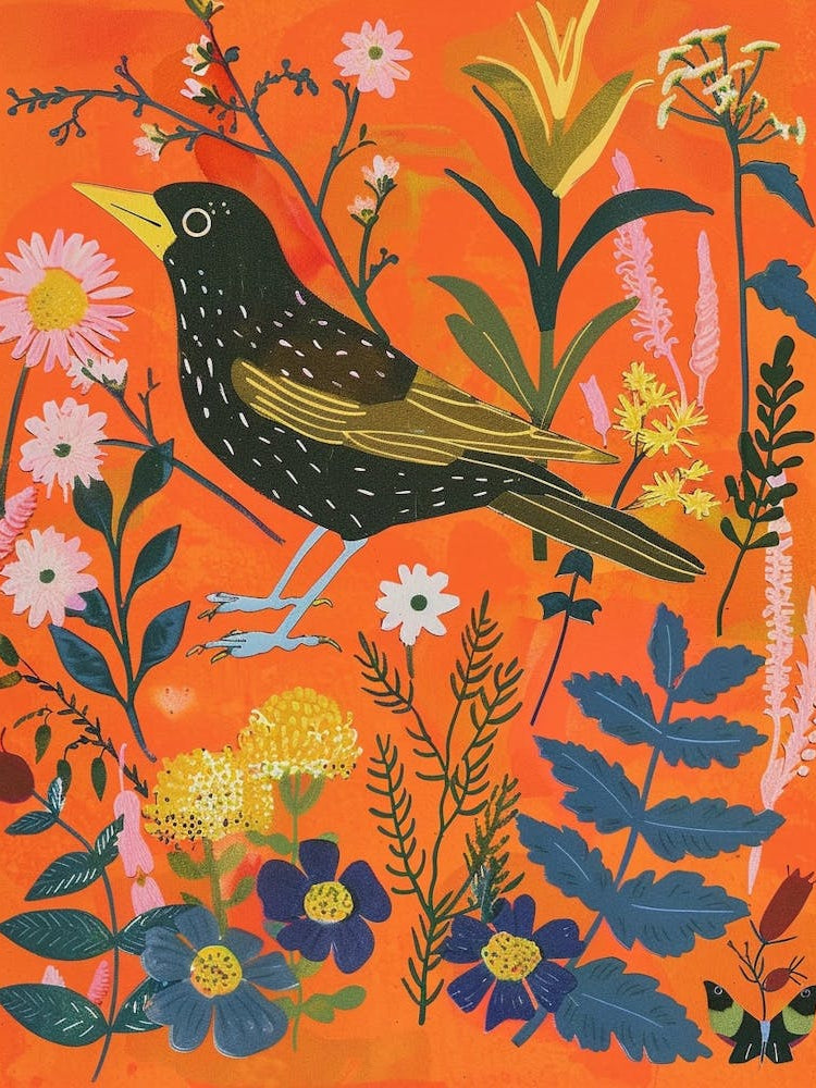 Spring Birds Cowbird 3