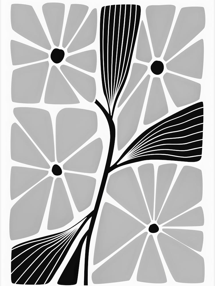 Black And White Flower 62