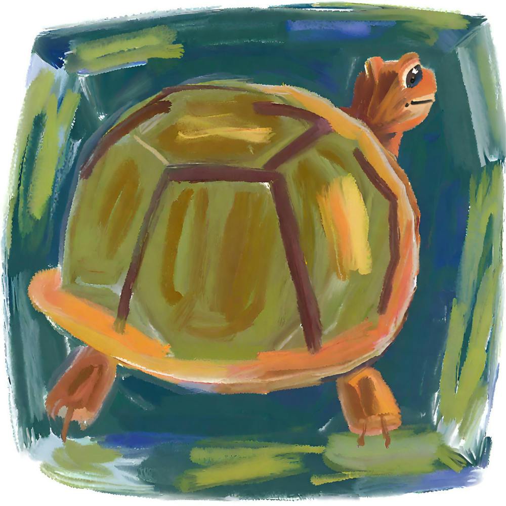 Tortue Boîte 06