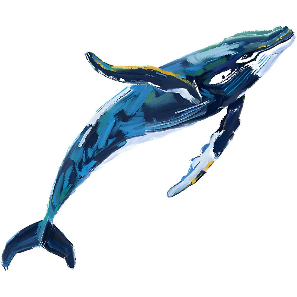 Humpback Whale 04