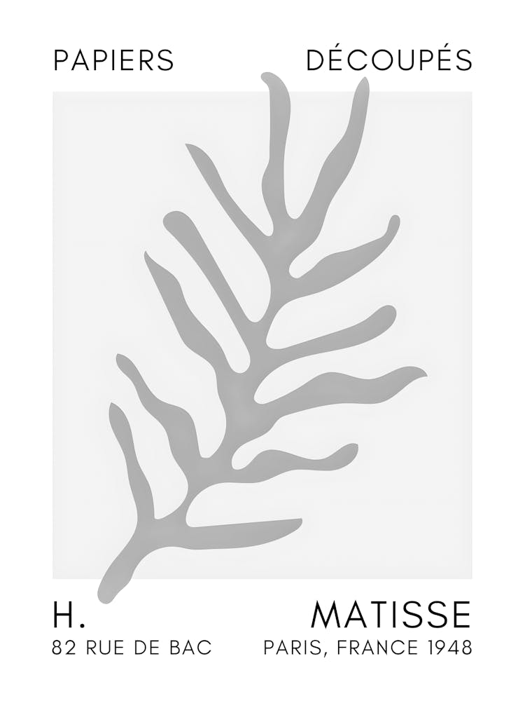 Matisse 28