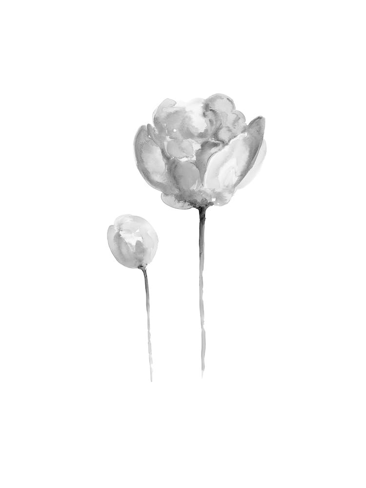 Black And White Flowers 1