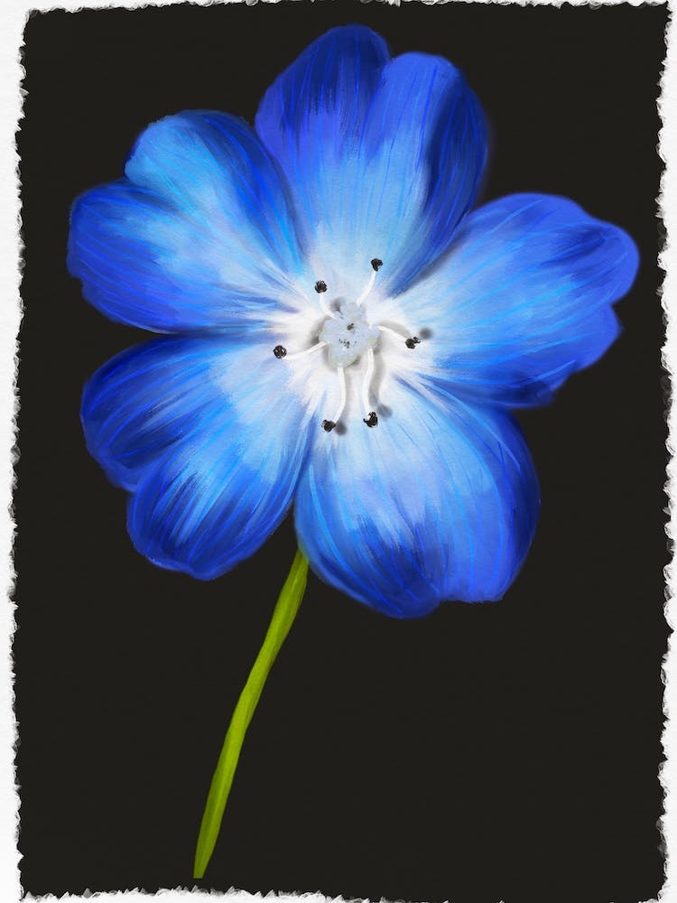 Blue Flower