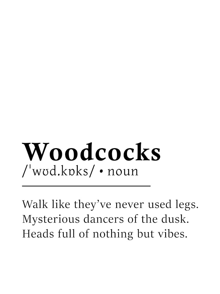 Woodcocks Definition Poster - Dictionary