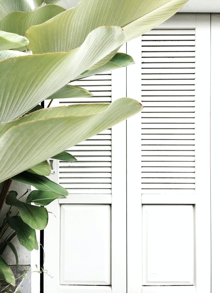 Lifestyle Background 03 D If